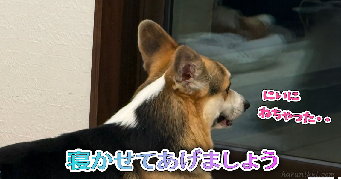 寝かせてあげましょう
