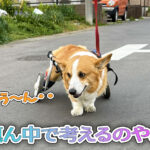 道の真ん中で考えるのやめて・・
