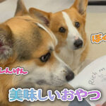 美味しいおやつ