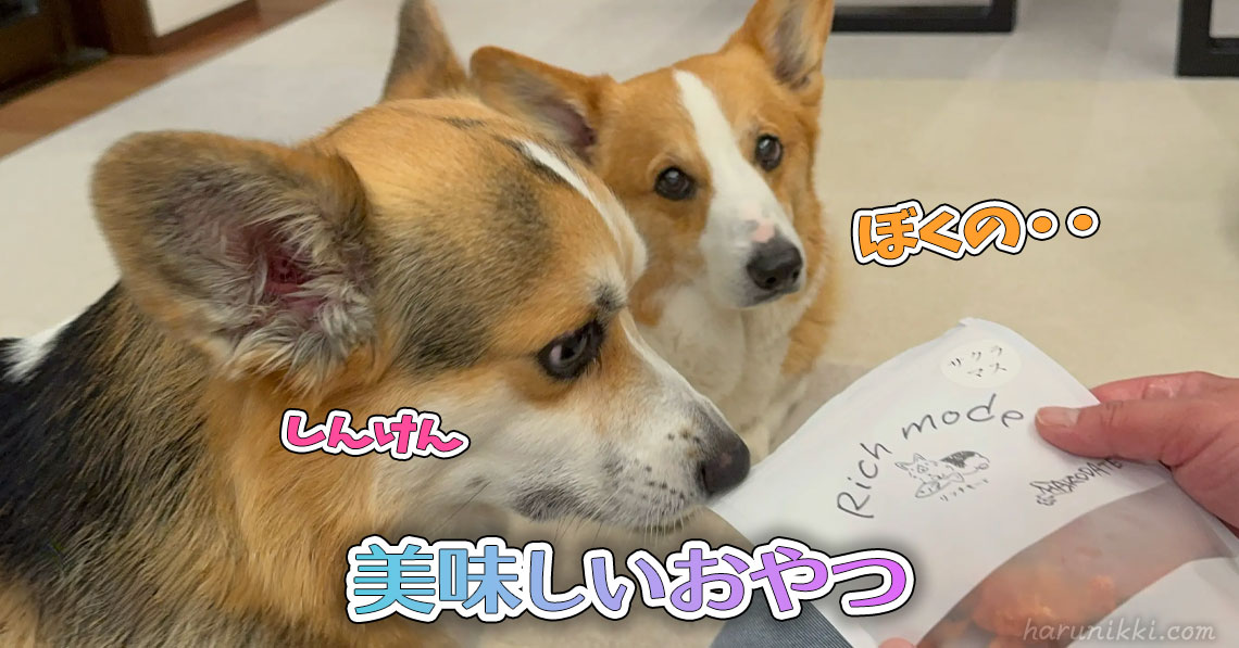美味しいおやつ