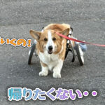 帰りたくない・・