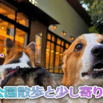 公園散歩と少し寄り道