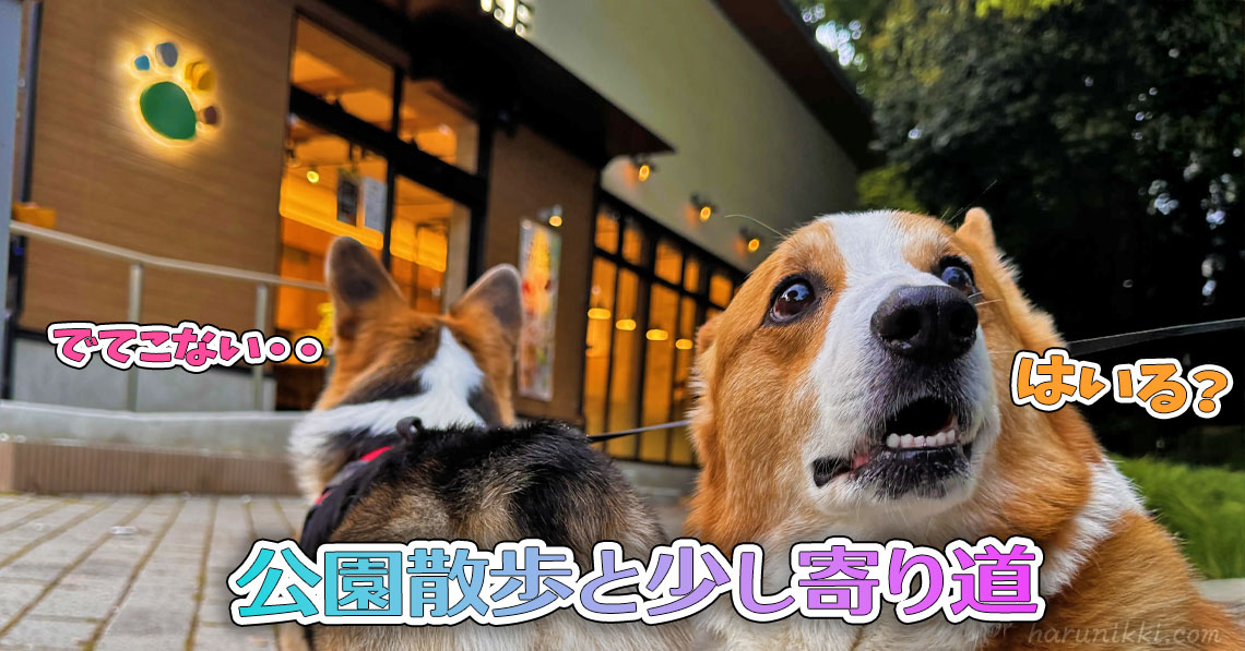 公園散歩と少し寄り道