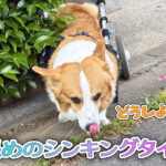 長めのシンキングタイム
