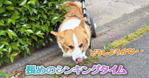 長めのシンキングタイム