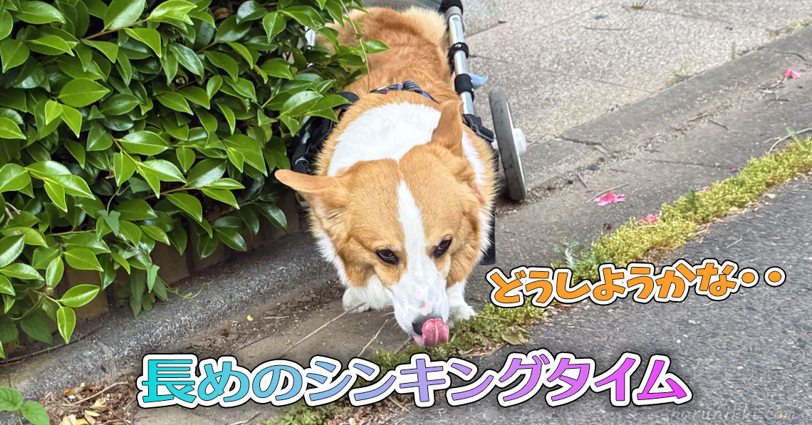 長めのシンキングタイム