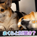 まくらと肘置き？