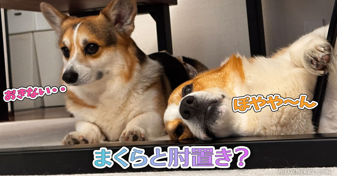 まくらと肘置き？