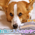 お気に入りのおやつ