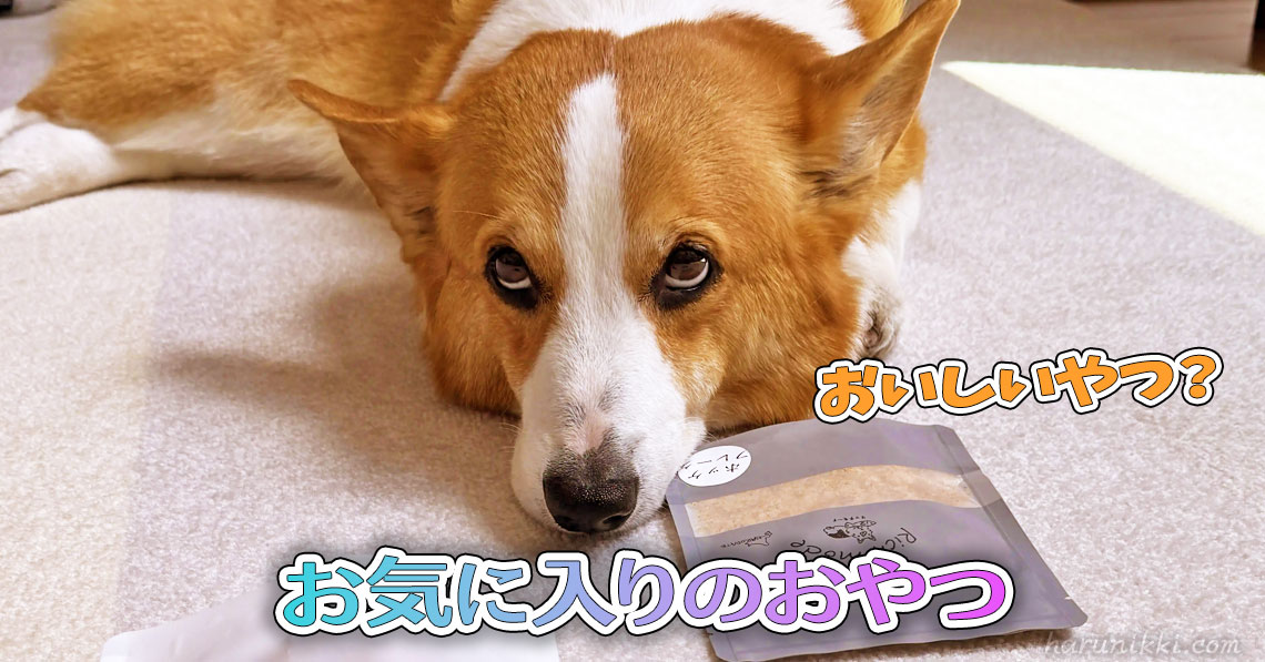 お気に入りのおやつ