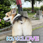 にいにLOVE