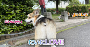 にいにLOVE