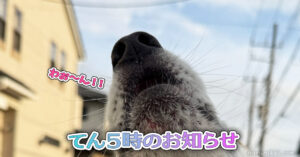 てん５時のお知らせ