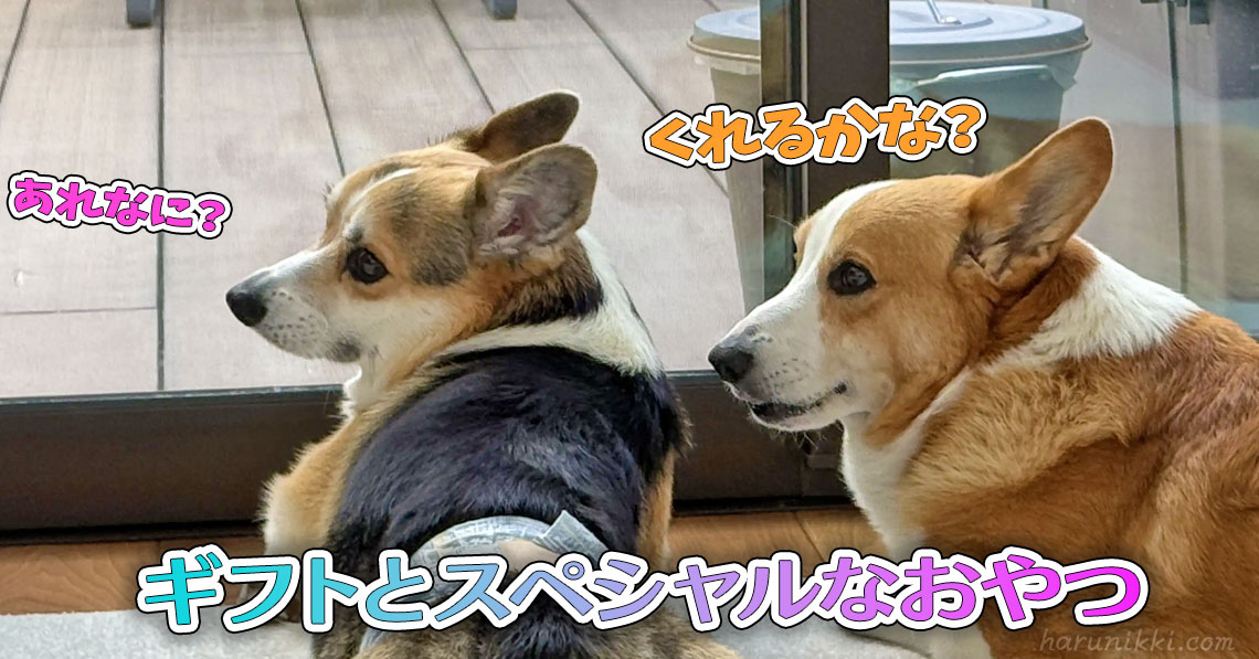 ギフトとスペシャルなおやつ