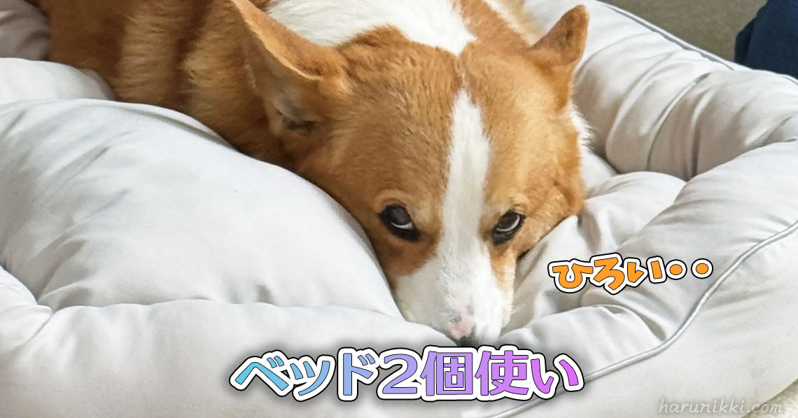 ベッド２個使い