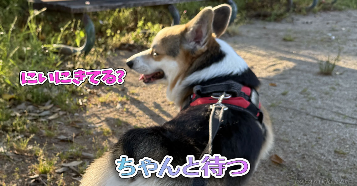 ちゃんと待つ