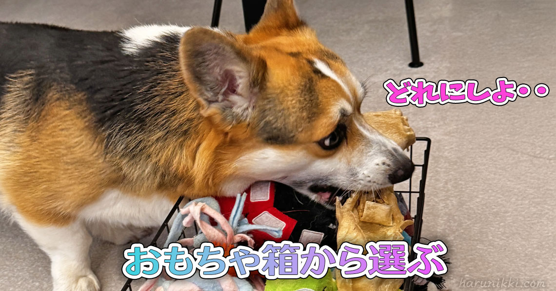 おもちゃ箱から選ぶ