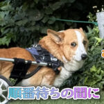 順番待ちの間に