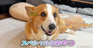 スペシャルなおやつ