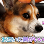 お互いに側がいい