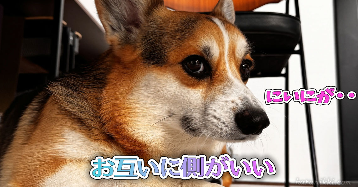 お互いに側がいい