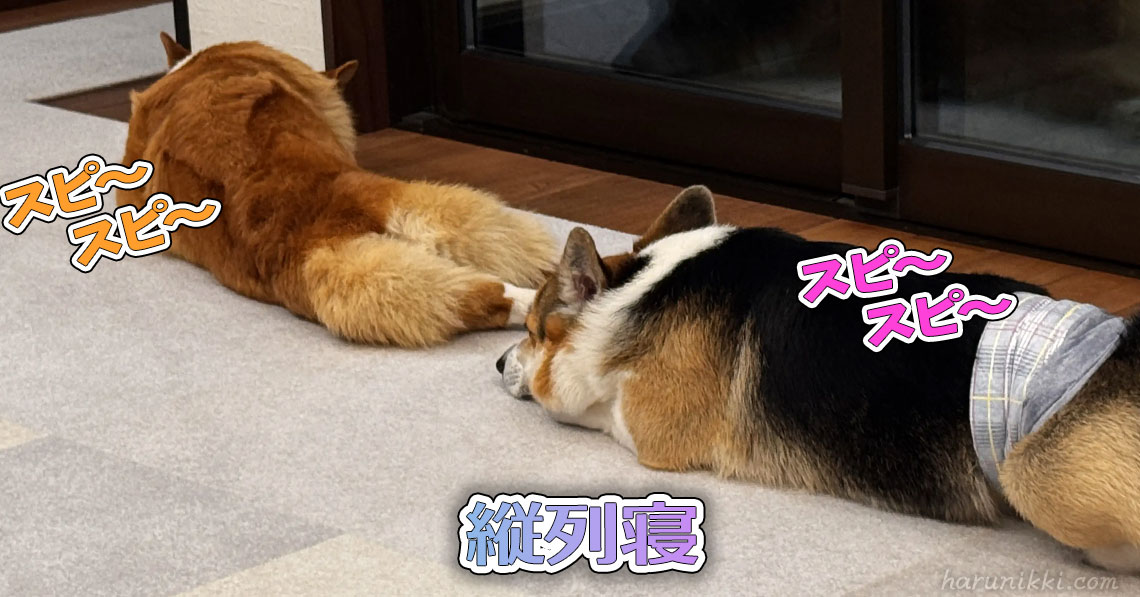 縦列寝