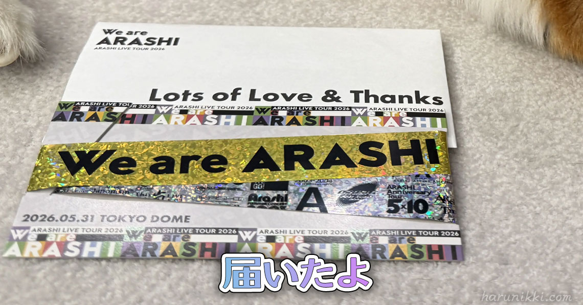 届いたよ