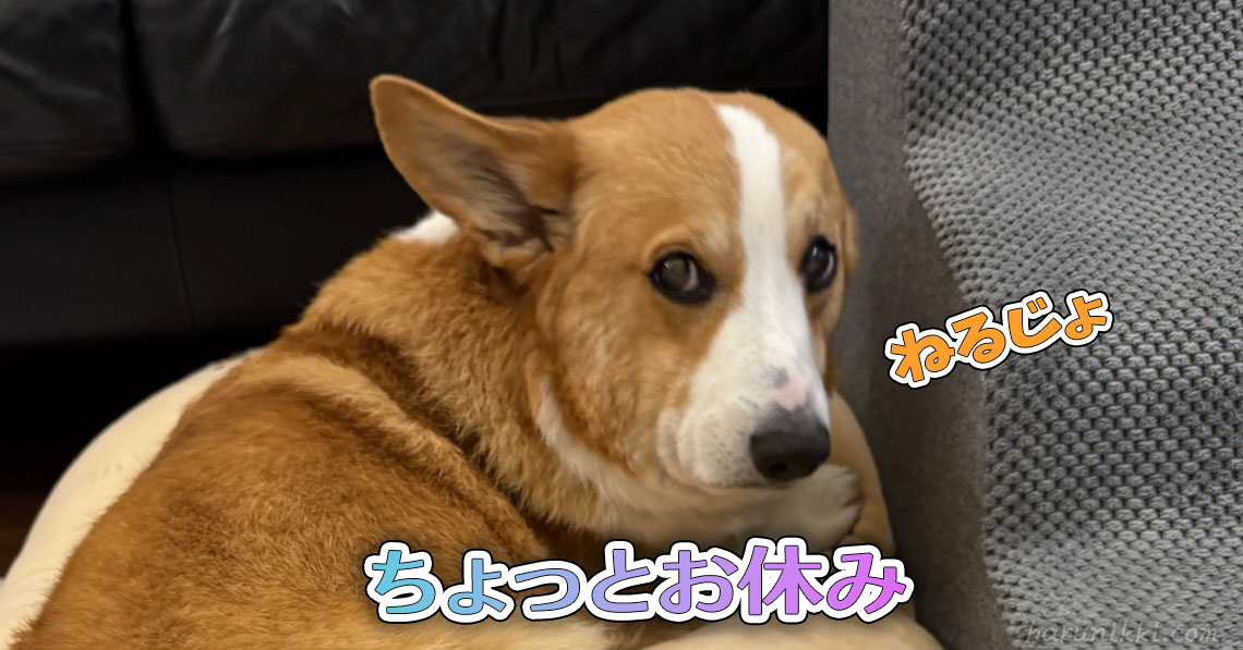 ちょっとお休み