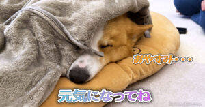 元気になってね
