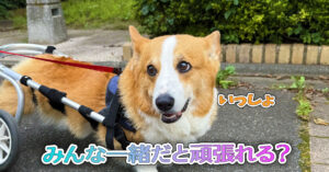 みんな一緒だと頑張れる？