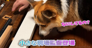 小さな現場監督登場