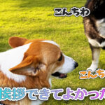 ご挨拶できてよかったね