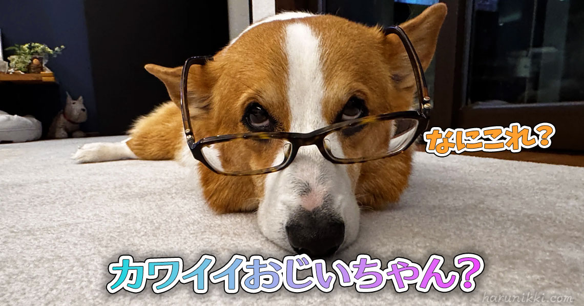 カワイイおじいちゃん？