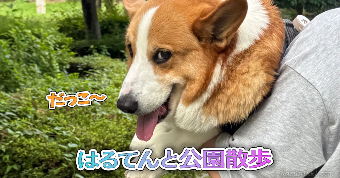 はるてんと公園散歩