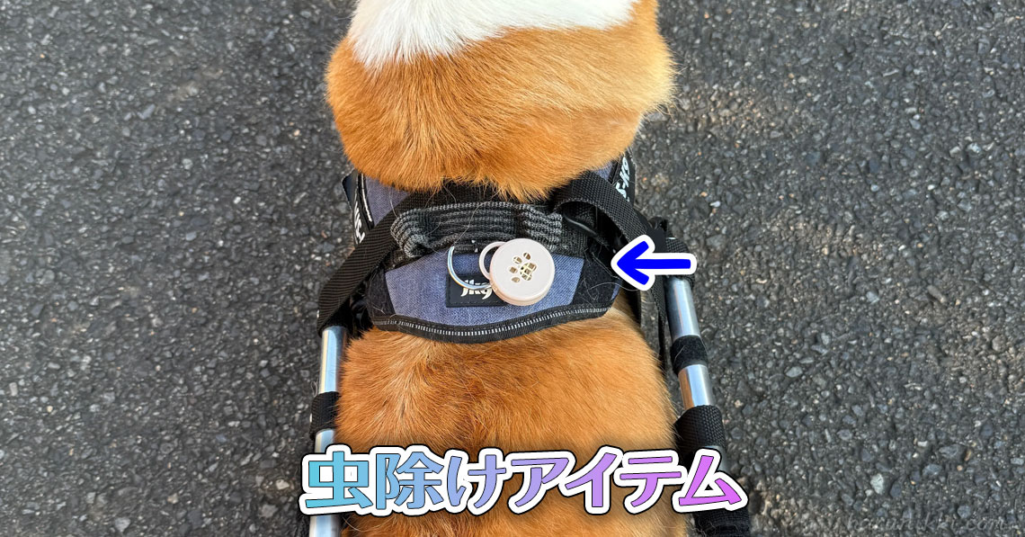 虫除けアイテム