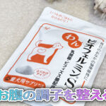 お腹の調子を整える