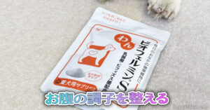 お腹の調子を整える