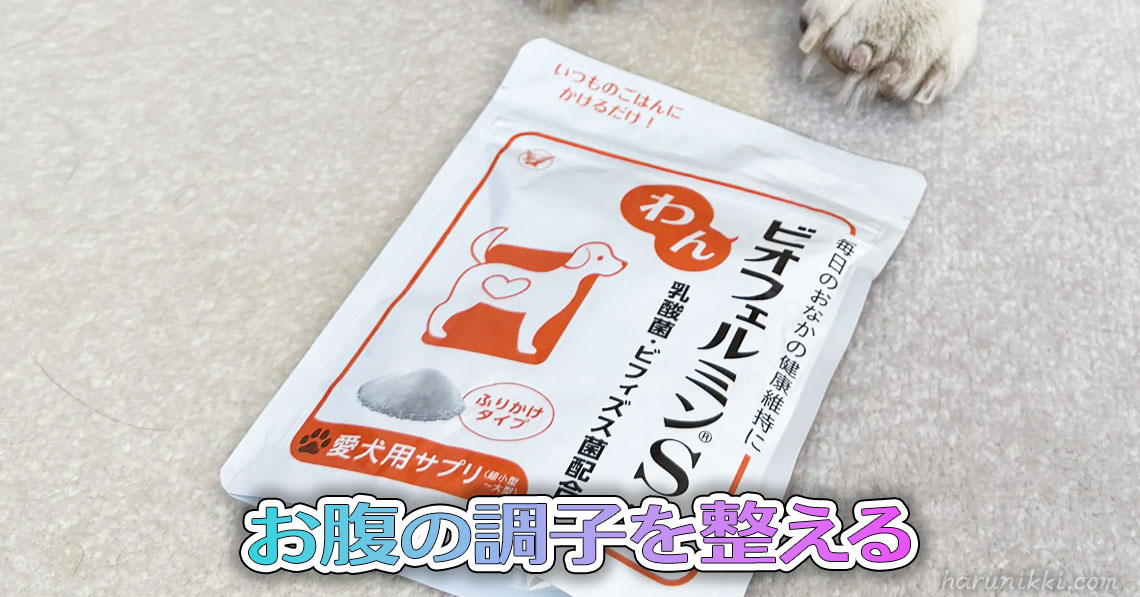 お腹の調子を整える