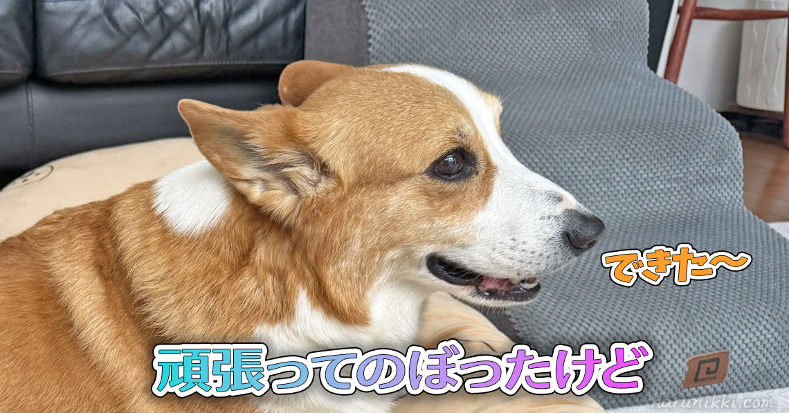 頑張ってのぼったけど