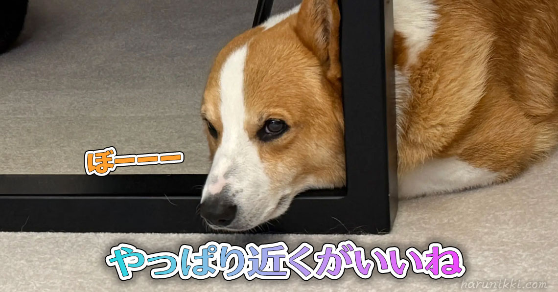 やっぱり近くがいいね
