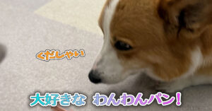 大好きな わんわんパン！