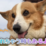 疲れちゃう時もあるよね
