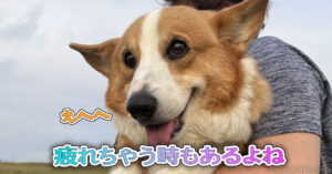 疲れちゃう時もあるよね