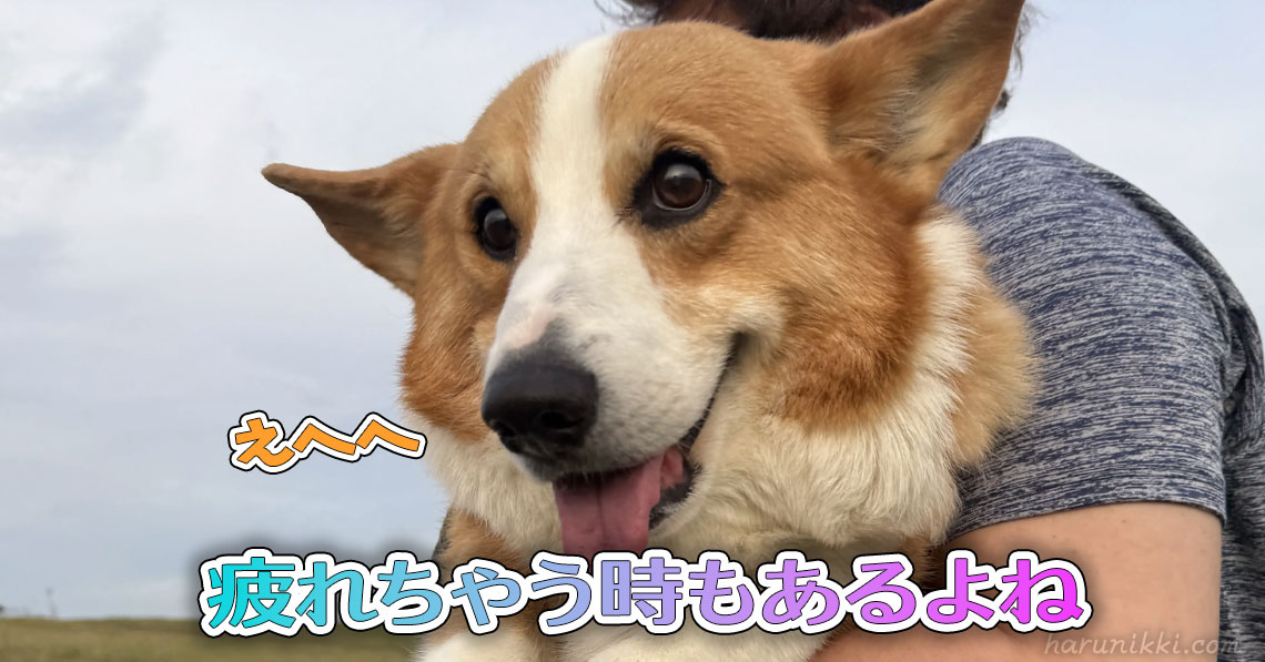 疲れちゃう時もあるよね