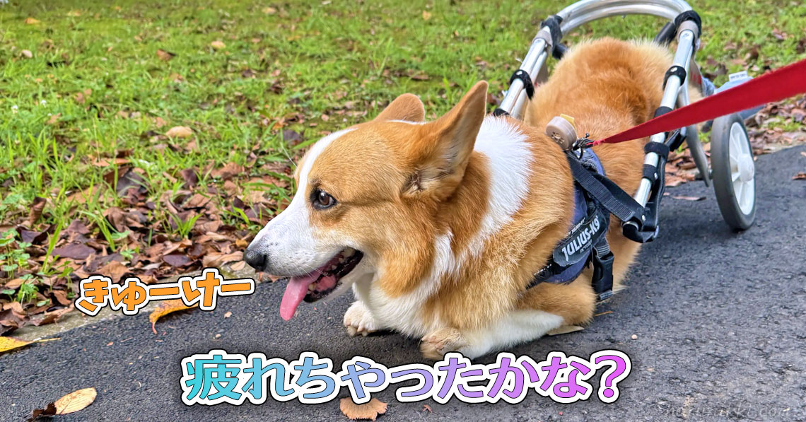 疲れちゃったかな？