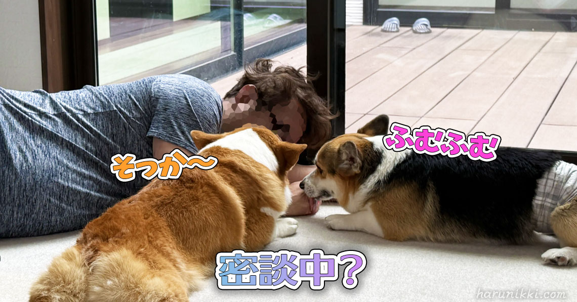 密談中？