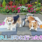 久しぶりに行ったら