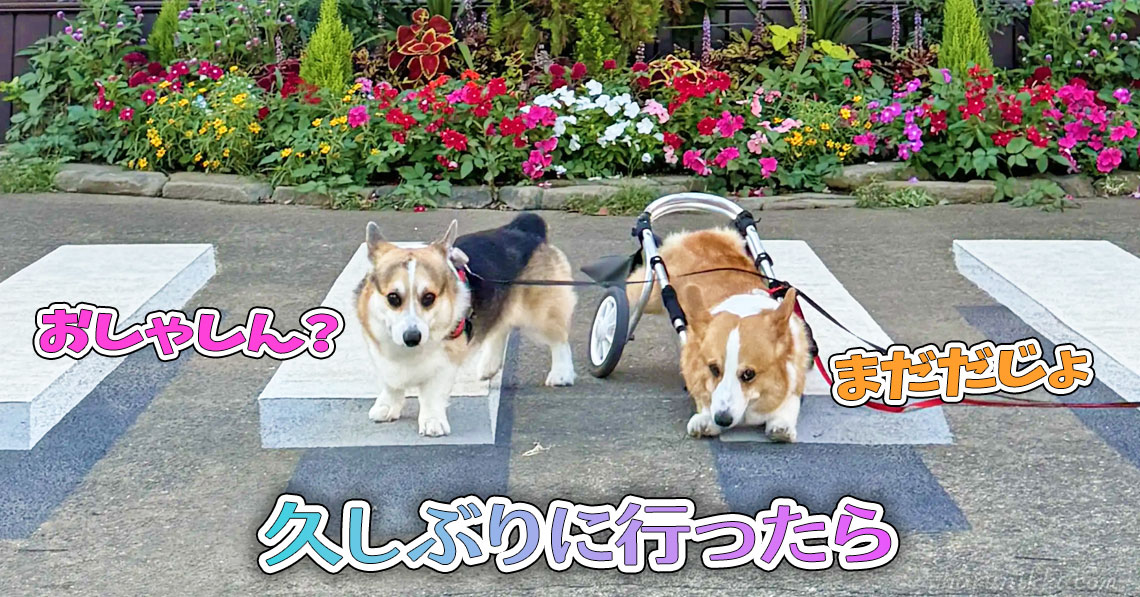 久しぶりに行ったら