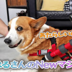 はるさんのNewマシン