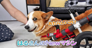 はるさんのNewマシン